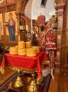 IMG_1429_1