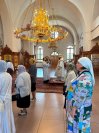 IMG_4464_1