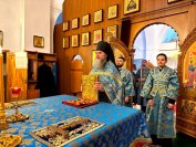 IMG_7517_1