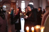 IMG_7641_1