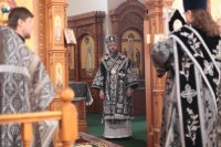 IMG_7753_1