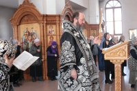 IMG_7887_1
