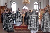 IMG_7897_1