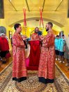 IMG_3418_1