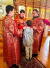 IMG_3527_1