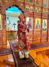IMG_3558_1