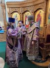 IMG_8218_1