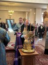 IMG_8418_1