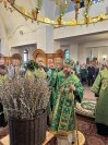 IMG_9038