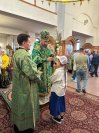 IMG_9070