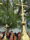 IMG_1864