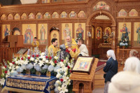 IMG_3991