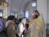 IMG_7980_resize
