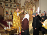 IMG_8146_resize