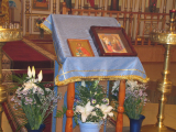 IMG_5570_resize