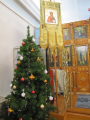 IMG_8562_resize