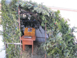 IMG_8769_resize