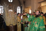 лит_благовещение_вечер_верб_403_resize