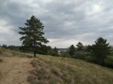 SAM_0535_resize