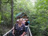 SAM_0539_resize
