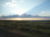 SAM_0542_resize