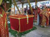 IMG_4491_resize