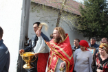 IMG_8007_resize