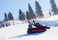 IMG_4295