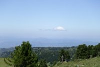 IMG_2443
