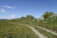 IMG_2509