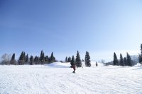 IMG_6860