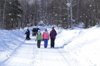 IMG_8524