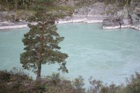 IMG_5620_1