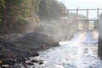 IMG_5635_1