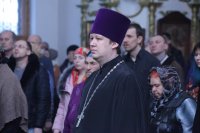 IMG_4181