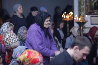 IMG_4196