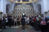 IMG_4247