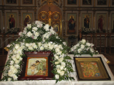 IMG_0621_resize