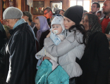 IMG_0514_resize