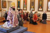 IMG_0661_resize