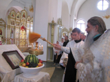IMG_5510--19_1