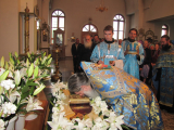 IMG_6274--27vb_1