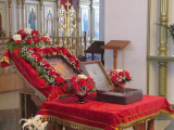 IMG_1220_resize