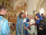 IMG_3856--5_1