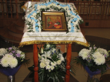 IMG_2384_resize