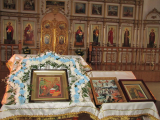 IMG_2486_resize