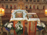 IMG_2487_resize