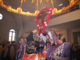 IMG_8708--26_1